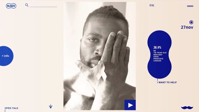 Portfolio Projekte Beispiele